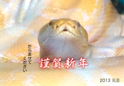 謹賀新年 2013元旦